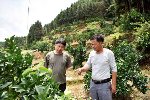 48802851c88f1e3fc6bc016c261e862