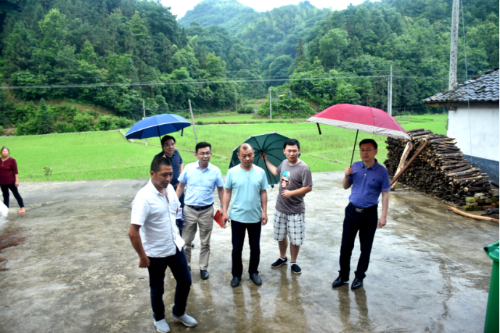 fef86ec71af9829dc5526d787a75fa0