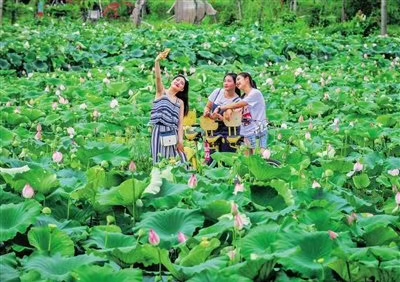 mmexport1593580842733