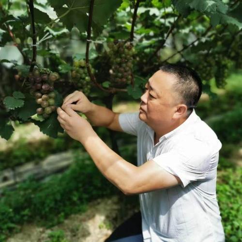 微信图片_20200707174611