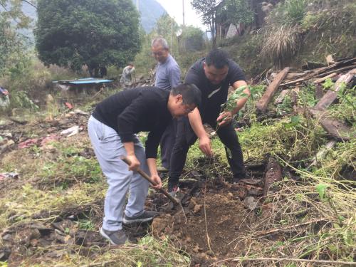 扶贫诗人与驻村工作队员帮助贫困户复绿