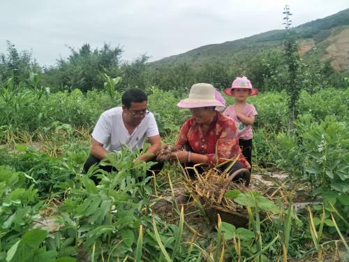 微信图片_202007071745041