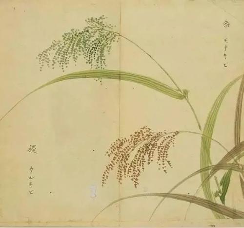 微信图片_20200730093612