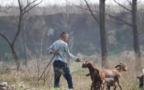 微信图片_20200804093858