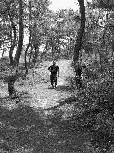 51c9439e70d3384cab21cf20c3149c7