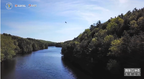 dcad39aeacae520503530a56635ad23e