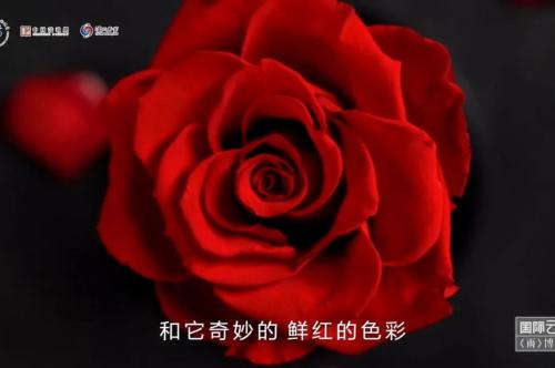 97fc124a75dc7427f42f93e66cc9c3bf