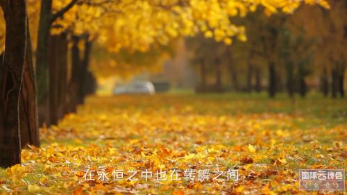 3447a08701acc27e8f73ff9c7f37ff05