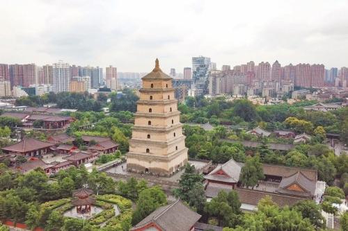 微信图片_20200901094441