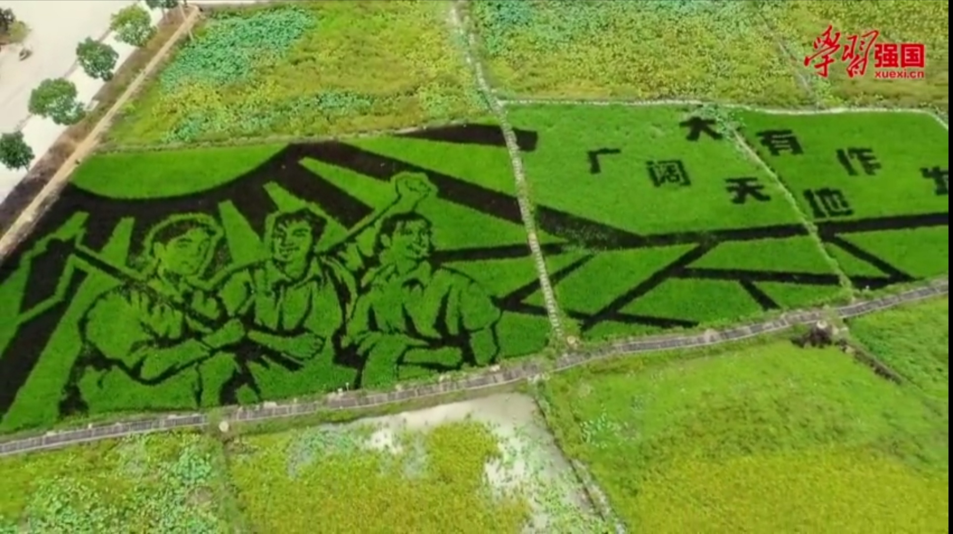 Screenshot_20200923_212948