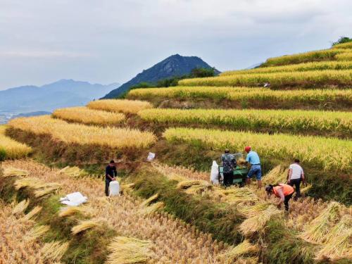 微信图片_202010211104432