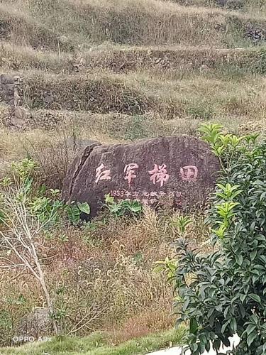 微信图片_202010211104437