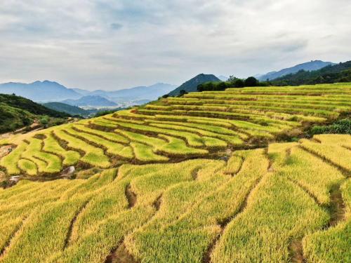 微信图片_202010211104438