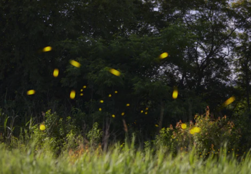 QQ浏览器截图20201029163325