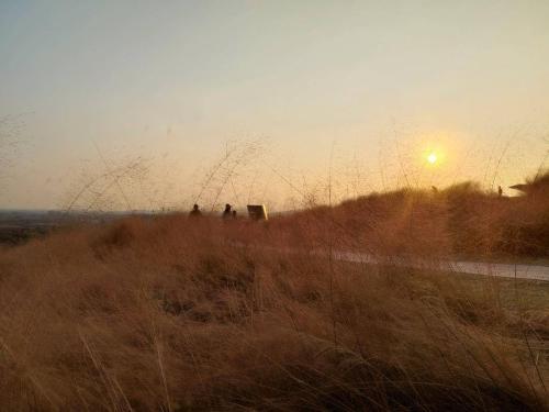 微信图片_20201116101324