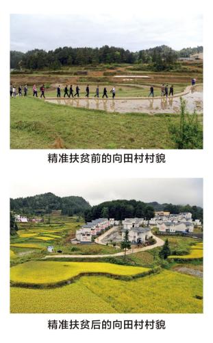 微信图片_20201116190840