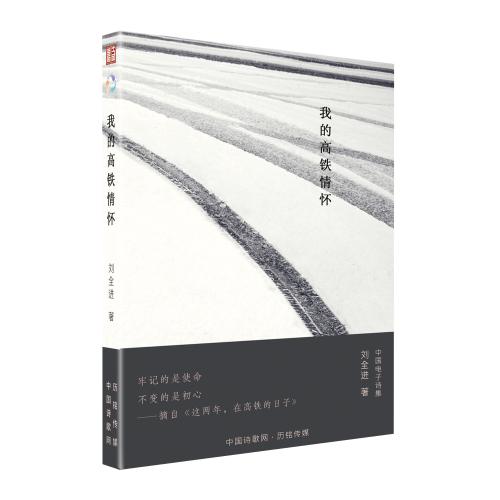 《我的高铁情怀》立体