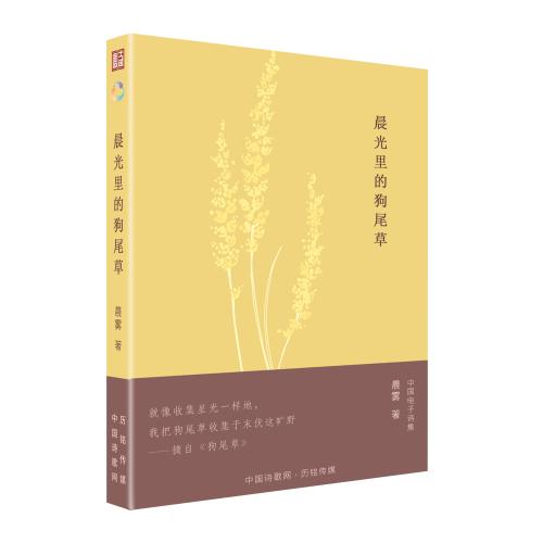 《晨光里的狗尾草》立体封