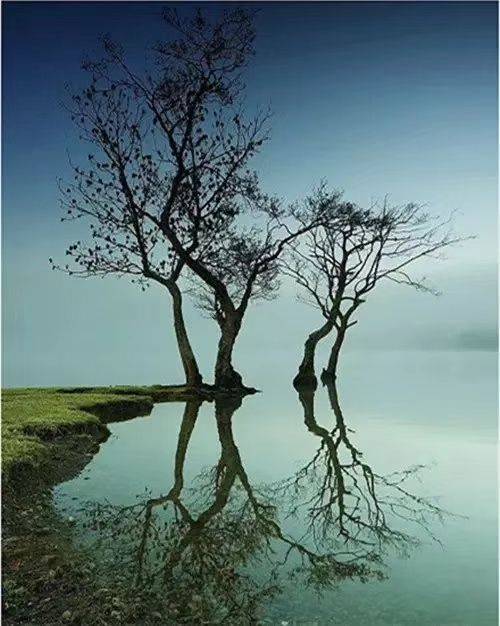 u=3581673957,2960291570&fm=26&gp=0