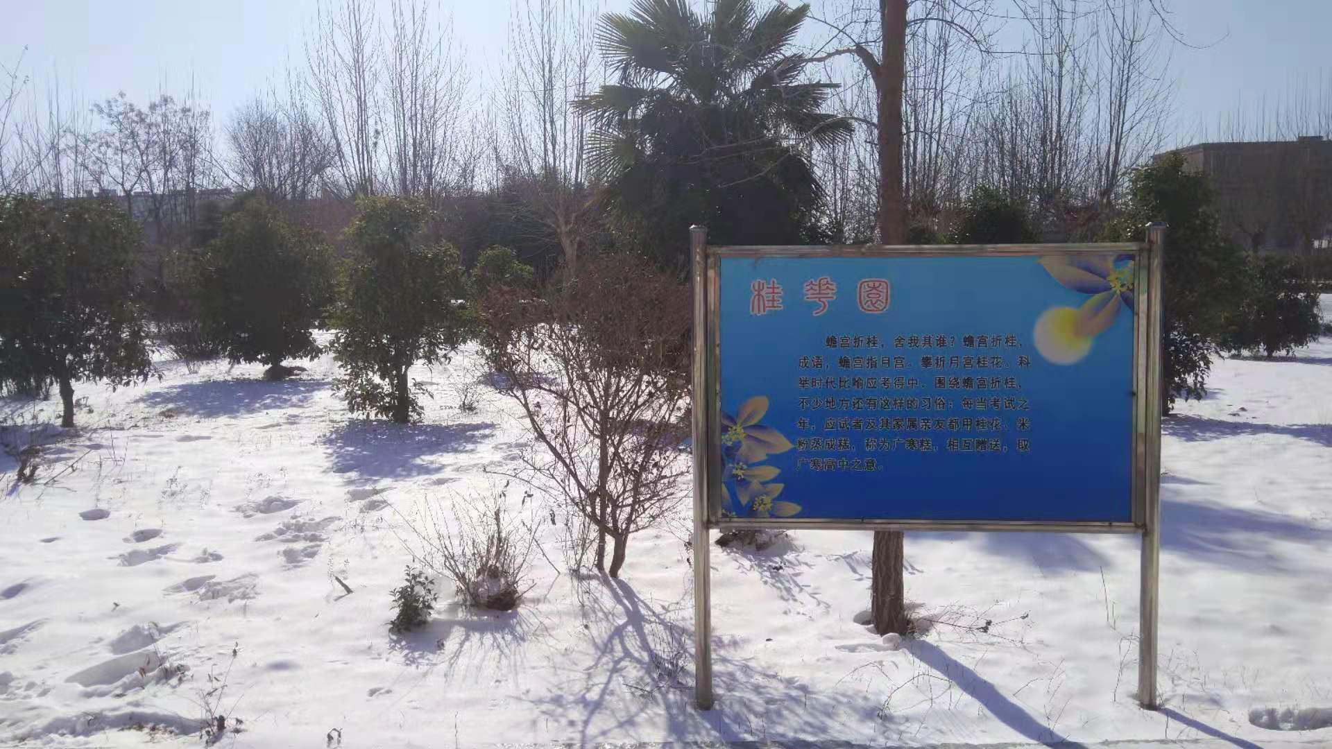 微信图片_20201230111943 微信图片_20201230111943