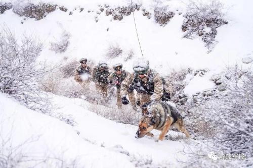 微信图片_20210223145342