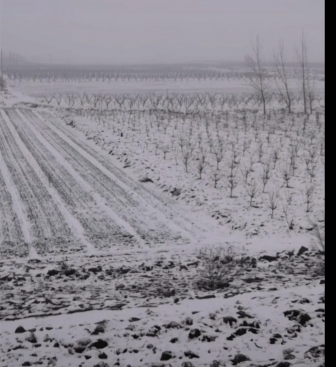 Screenshot_20210225_211532