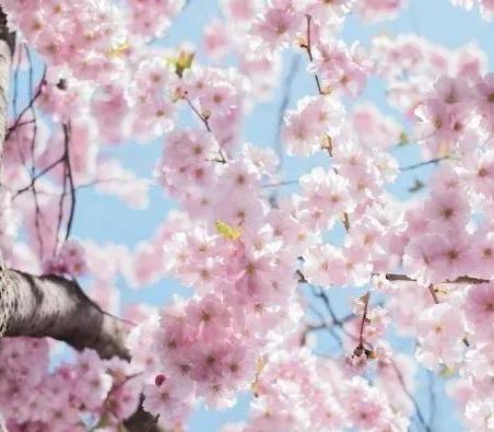 微信图片_20210307133355