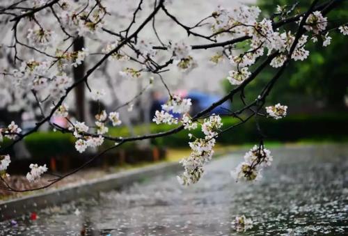 微信图片_20210307135933