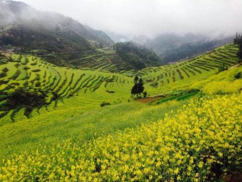 微信图片_20210310101114