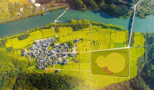 微信图片_202103151023021