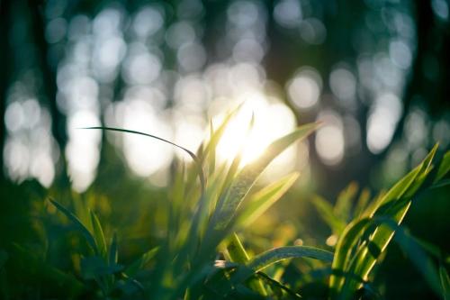 383b95024e4e8e96b9155b261c0575d4