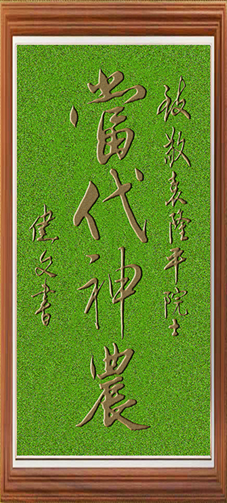 A-当代神农 A-当代神农