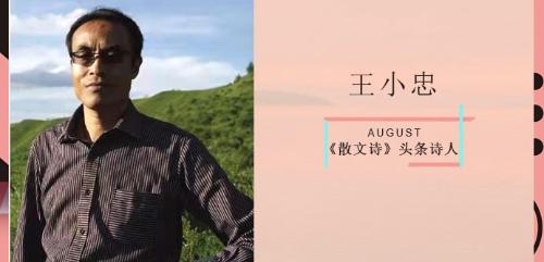 c09adcb547d2b5f62a5c70af9ce49e3