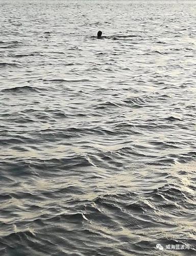 微信图片_20210908100158