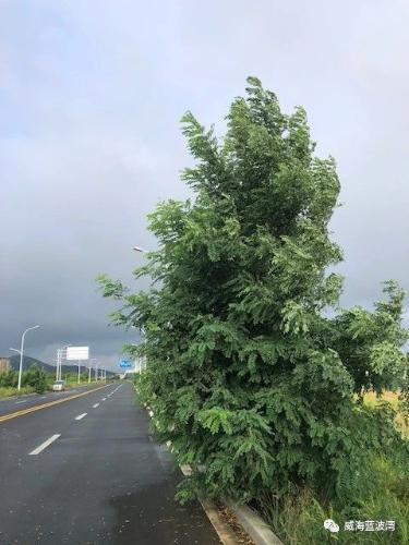 微信图片_20210908100201