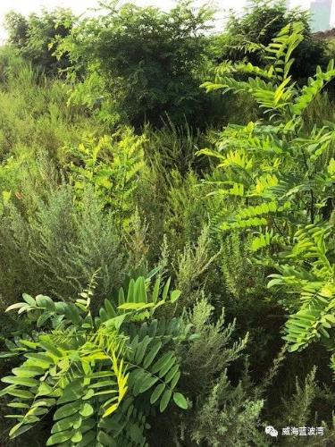 微信图片_20210908100205