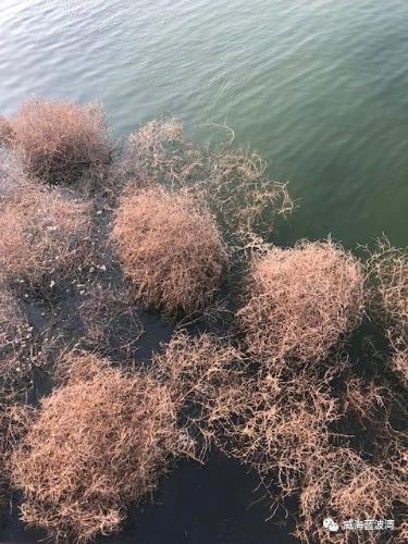 微信图片_20210908100211