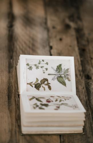 微信图片_20211217135854