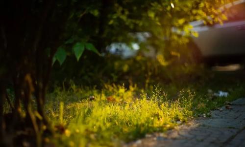 306f26027c1ca96537abd1a6bb35bbcd