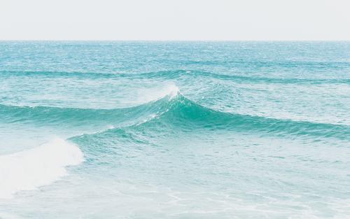 e0a66591aa2314a0e3a1cf60a8b9cd9a-sz_659490