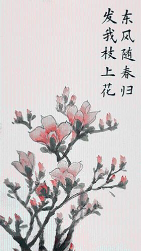 cb4498e286c7449183c3935524bb45c8