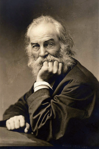 afcb4affdecc28b7f6b9a773b55c72e