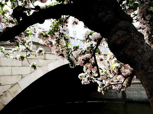 psc - 2022-02-08T111357.492(1)(1)