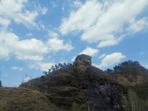 鲜花港IMG_20210407_124519