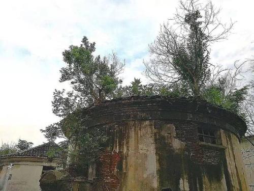 16462900187156515442923167671317