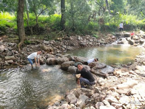 86e03048a44a3f35798aa994fd644653