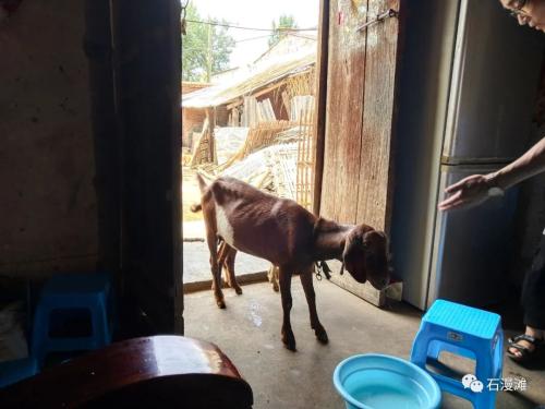 1ee843f0d2f429682bf32549a0d698b1