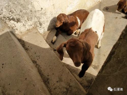 c1585e5a782b1ced6debf8b17483b521