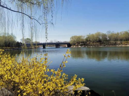 微信图片_20220407123346