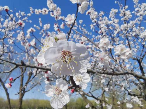 微信图片_20220407123342